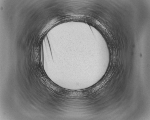 X0000085731354200704131608