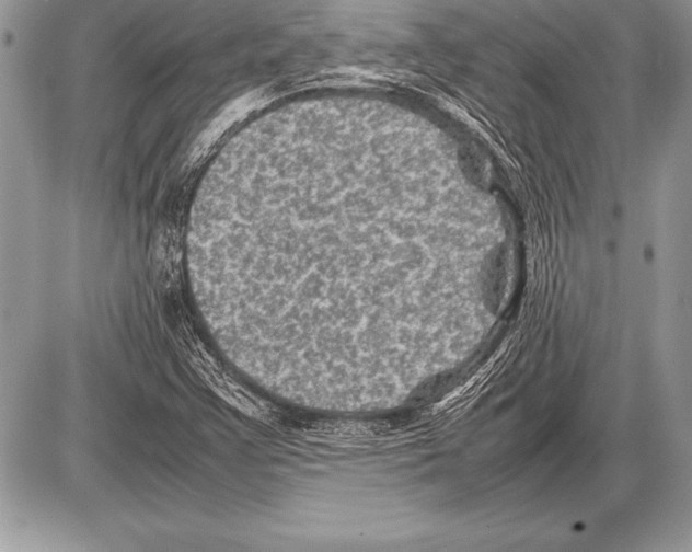 X0000085731355200704131608