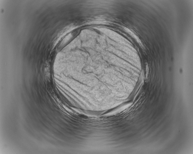 X0000085731356200704131608