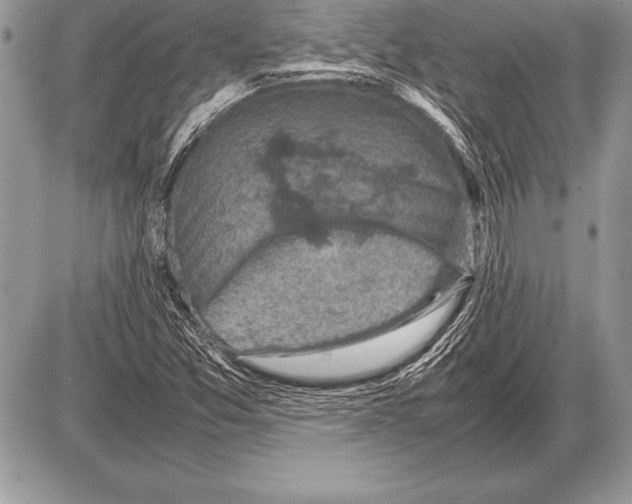 X0000085731357200704131608