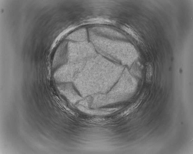 X0000085731358200704131608