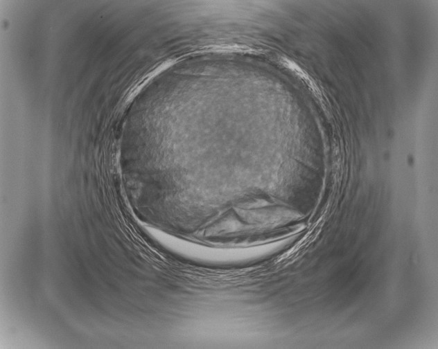 X0000085731361200704131608