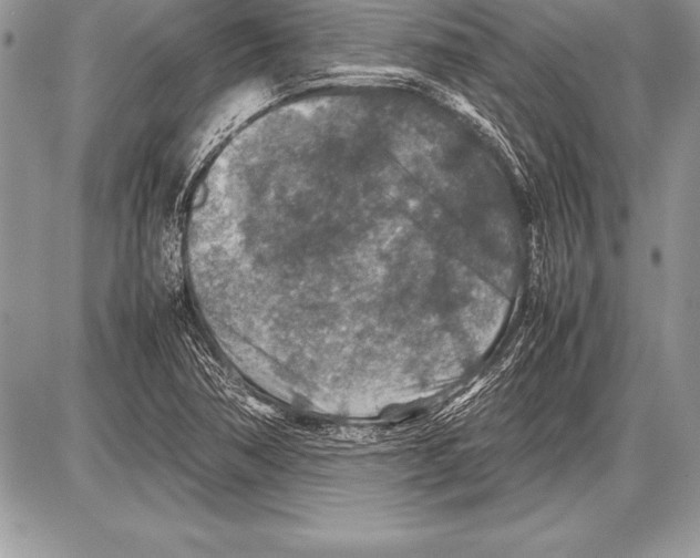 X0000085731362200704131608