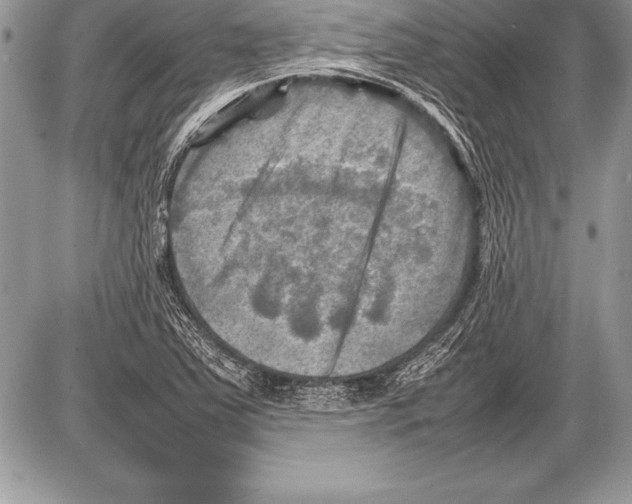 X0000085731363200704131608