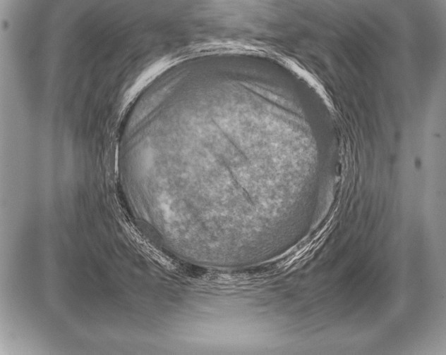 X0000085731365200704131608