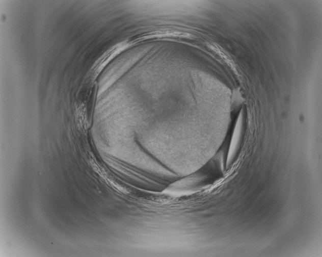 X0000085731369200704131608