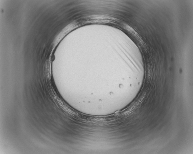 X0000085731370200704131608