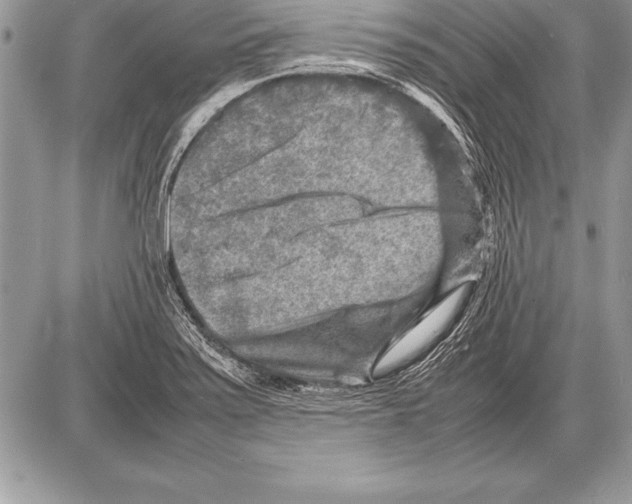 X0000085731371200704131608