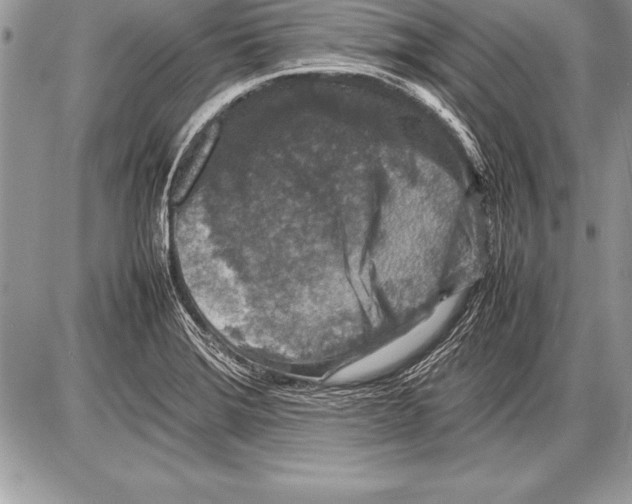 X0000085731372200704131608