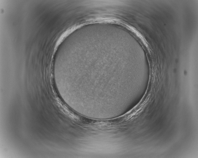 X0000085731373200704131608