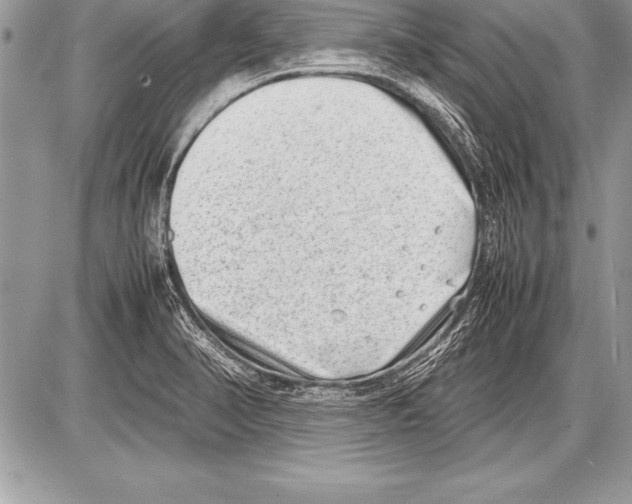 X0000085731374200704131608