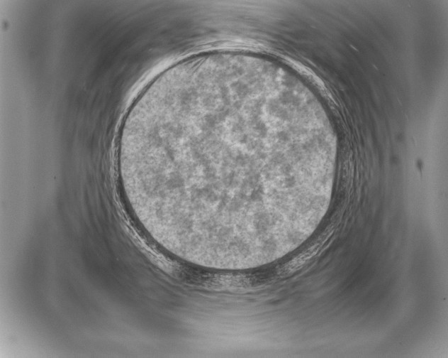 X0000085731375200704131608