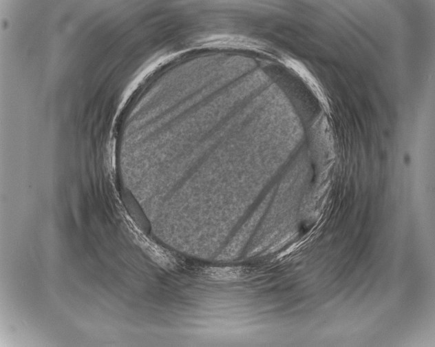 X0000085731376200704131608