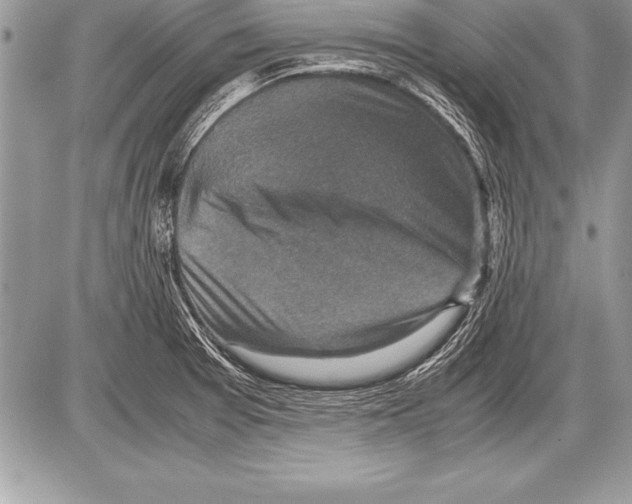 X0000085731377200704131608