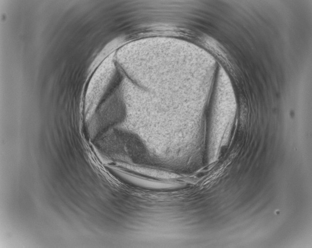 X0000085731378200704131608