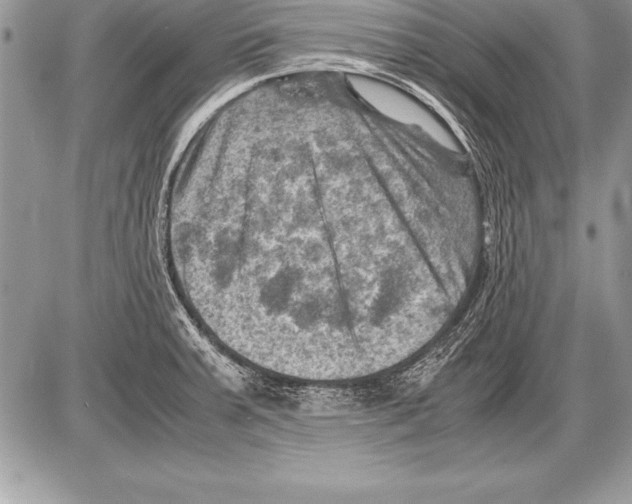 X0000085731379200704131608