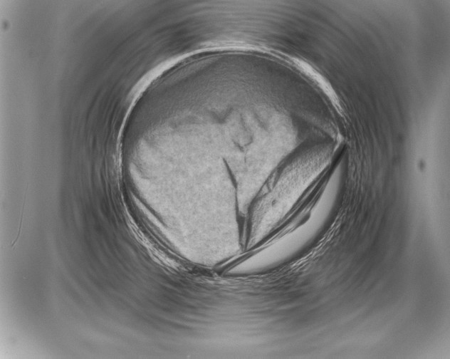 X0000085731380200704131608