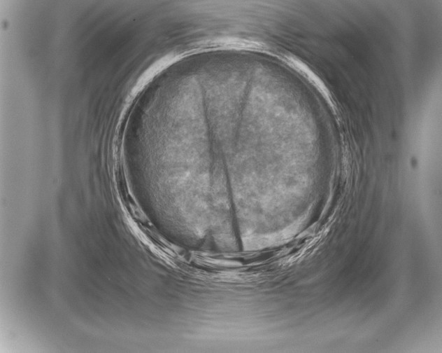 X0000085731381200704131608