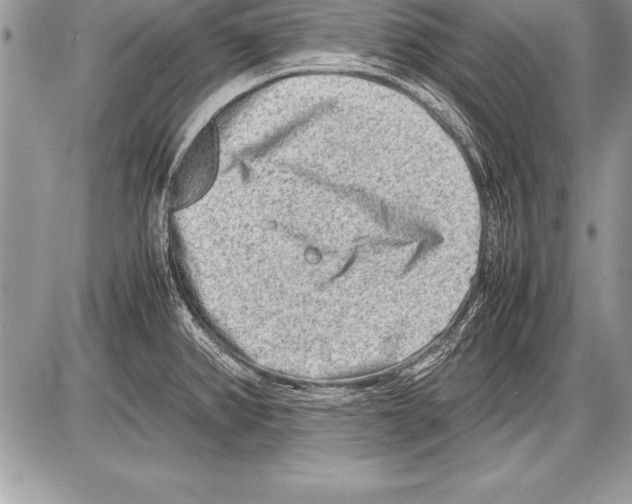 X0000085731382200704131608