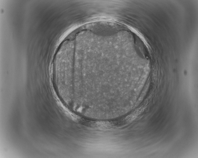 X0000085731383200704131608