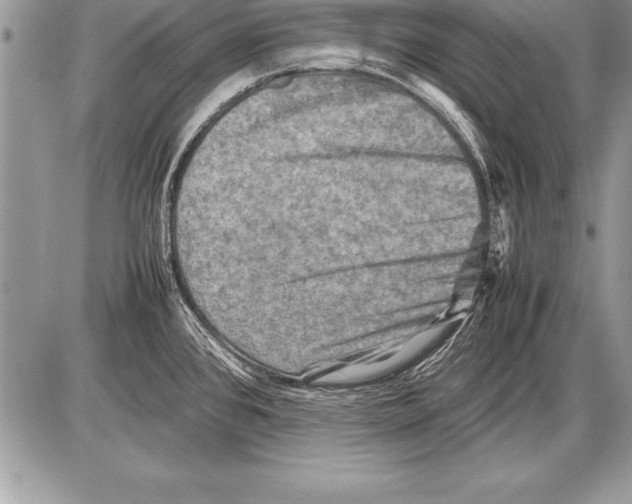 X0000085731384200704131608