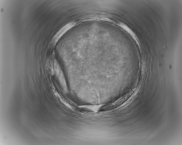 X0000085731385200704131608