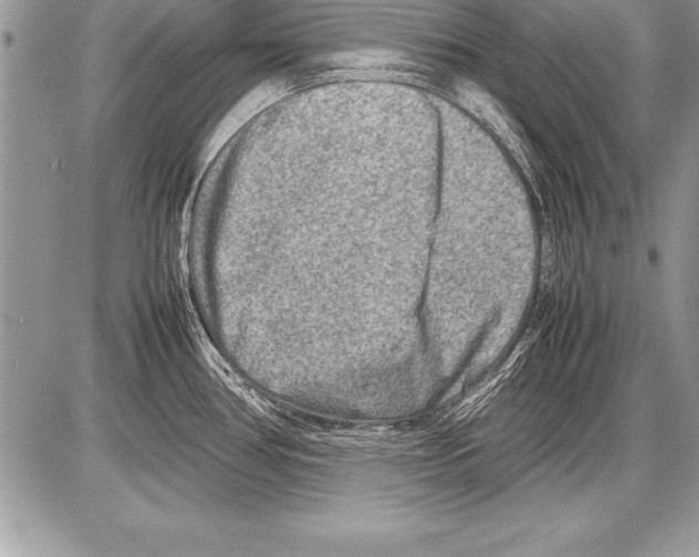 X0000085731386200704131608