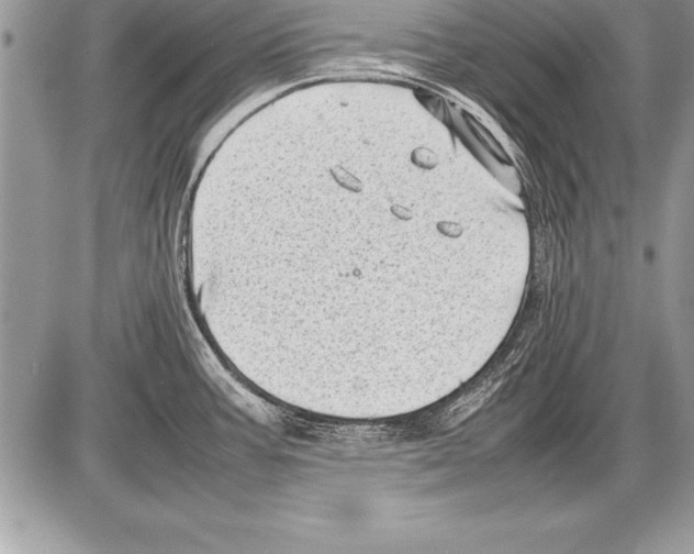 X0000085731387200704131608