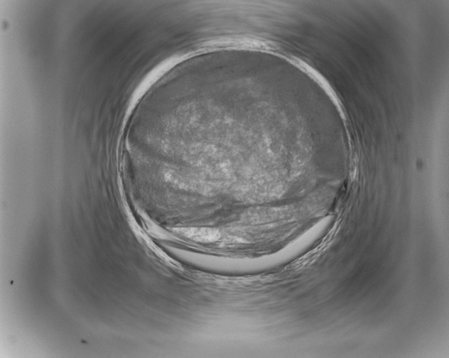 X0000085731389200704131608