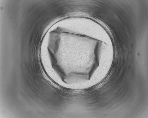 X0000085731390200704131608