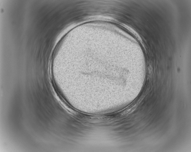 X0000085731391200704131608