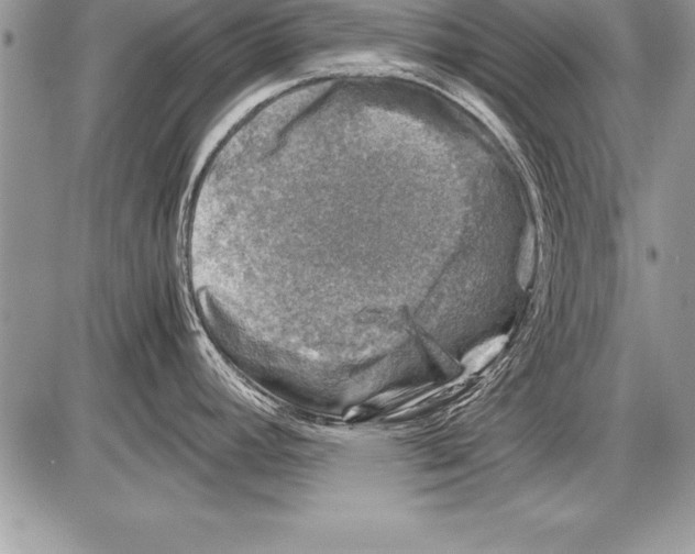 X0000085731392200704131608