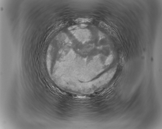 X0000085731393200704131607