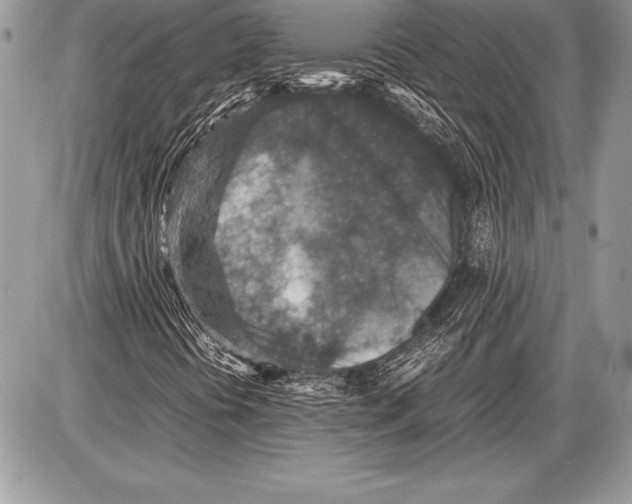 X0000085731394200704131607