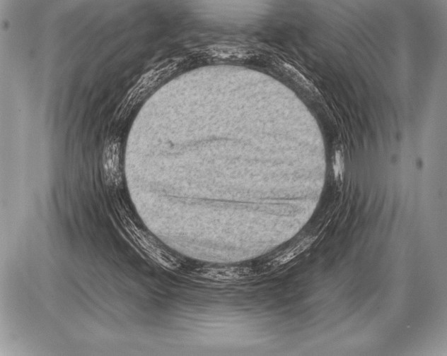 X0000085731396200704131607