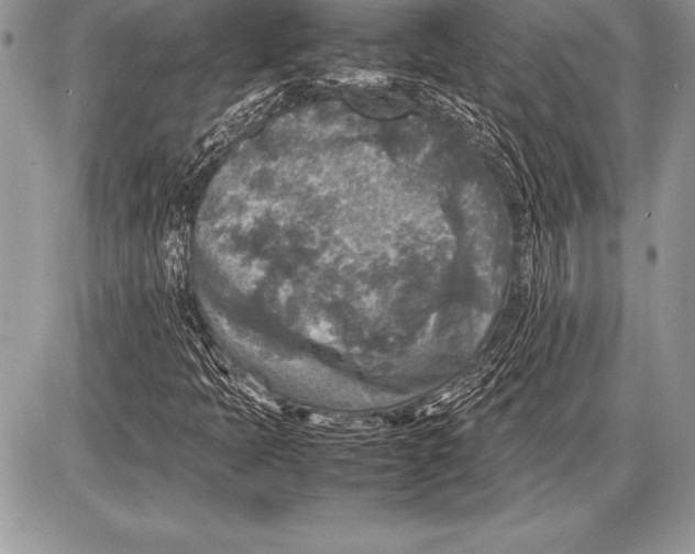 X0000085731397200704131607