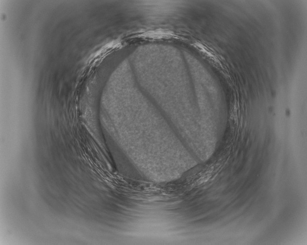 X0000085731398200704131607