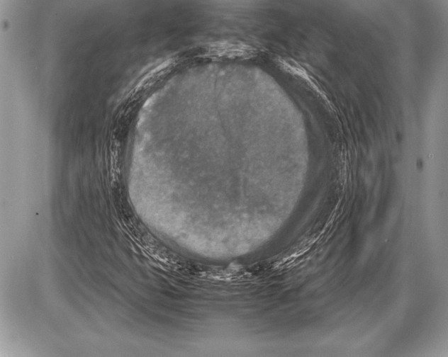 X0000085731399200704131607