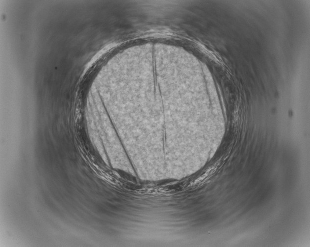 X0000085731400200704131607