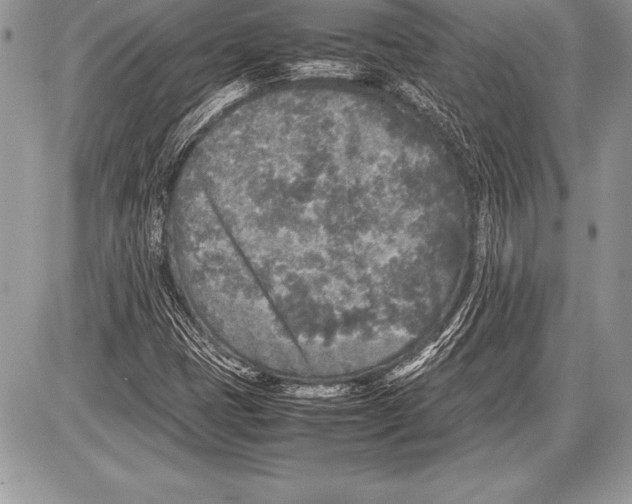 X0000085731401200704131607