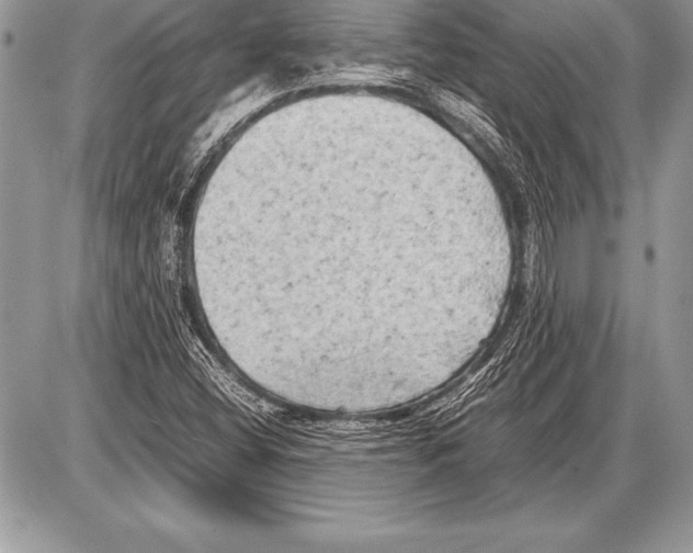 X0000085731404200704131607