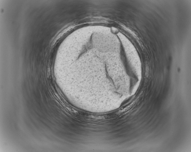 X0000085731407200704131607