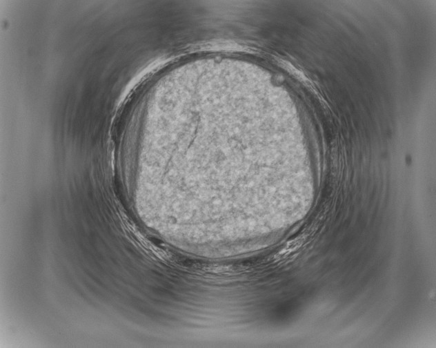 X0000085731408200704131607