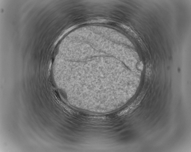 X0000085731409200704131607