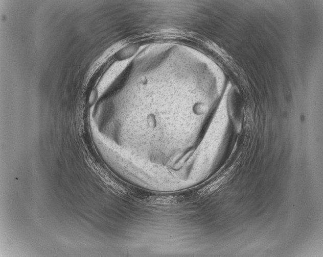 X0000085731410200704131607