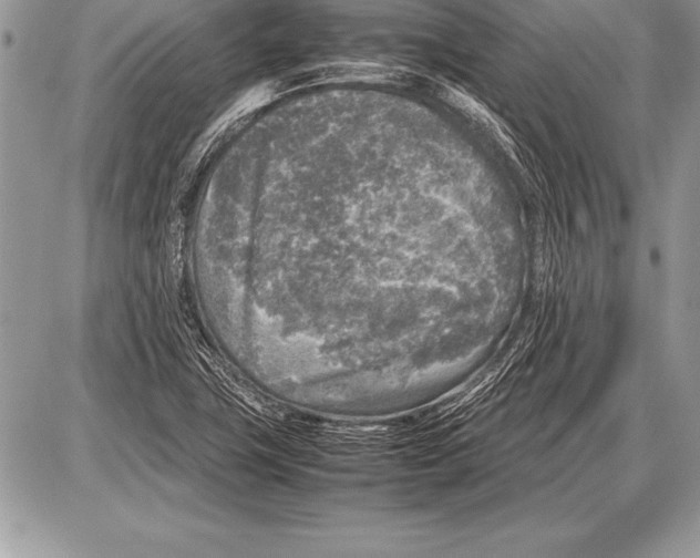 X0000085731411200704131607