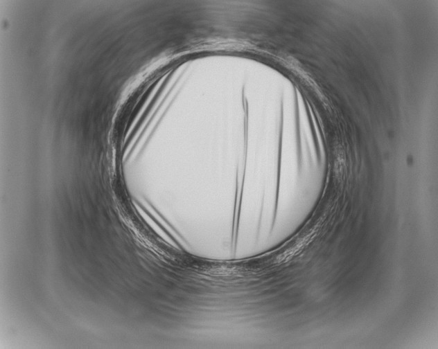 X0000085731414200704131607