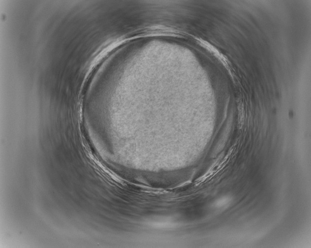 X0000085731415200704131607