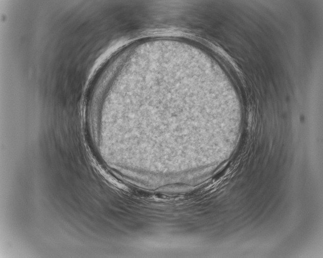 X0000085731416200704131607