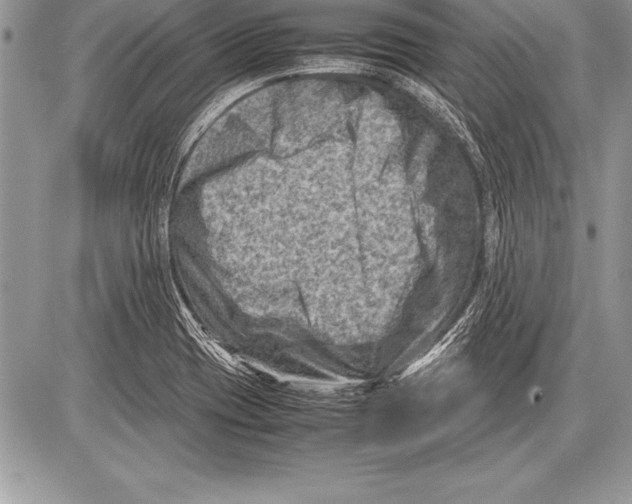 X0000085731417200704131607